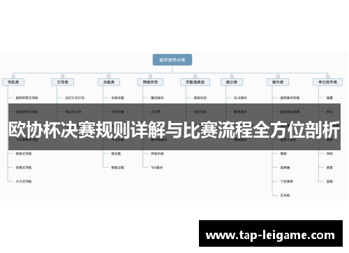 欧协杯决赛规则详解与比赛流程全方位剖析
