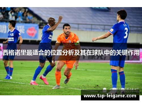 西格诺里最适合的位置分析及其在球队中的关键作用