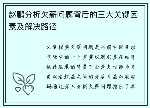 赵鹏分析欠薪问题背后的三大关键因素及解决路径
