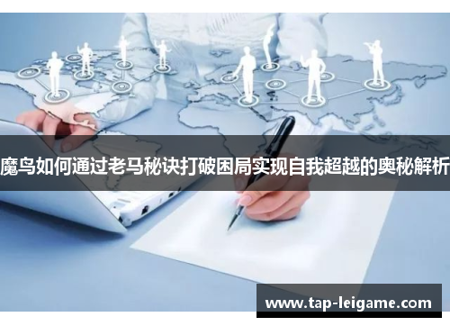 魔鸟如何通过老马秘诀打破困局实现自我超越的奥秘解析